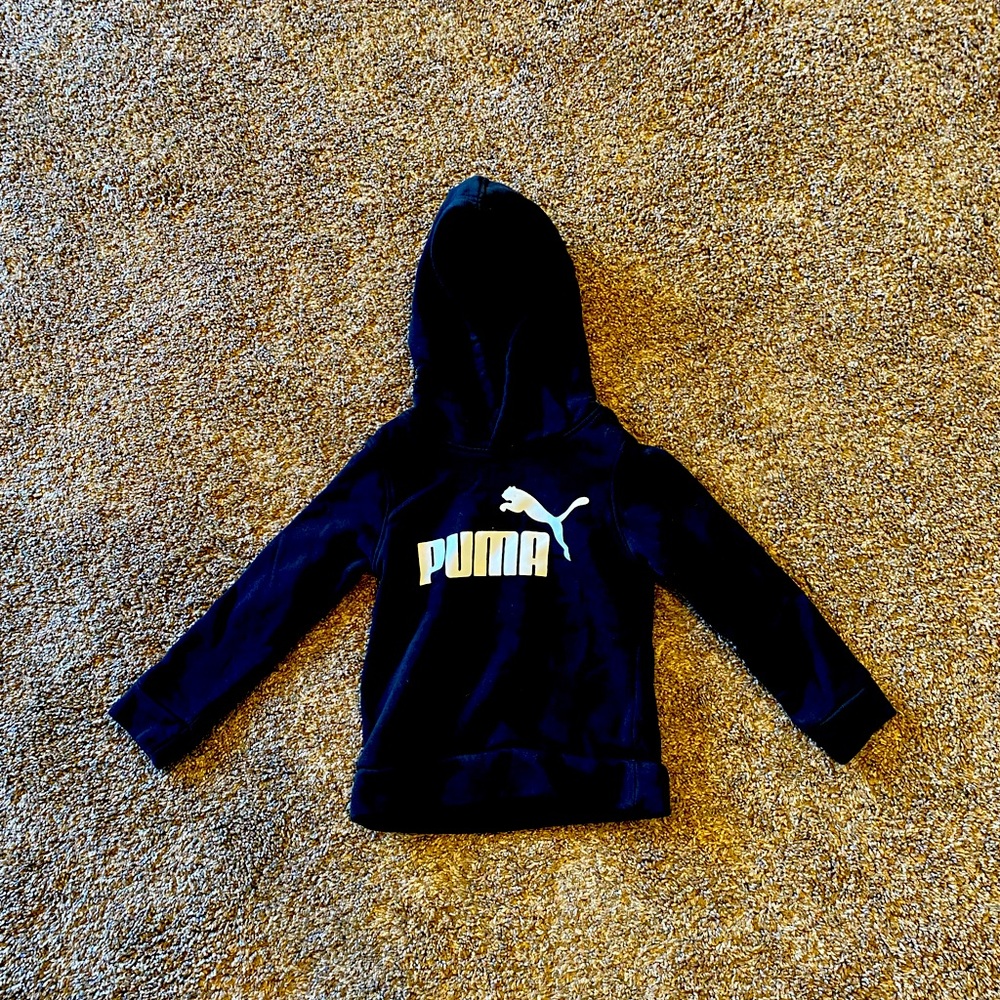 Puma 3t hooded sweatshirt